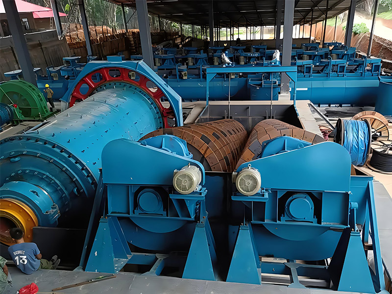 Lithium Ore Beneficiation Process