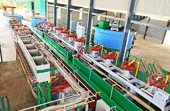 Lead-Zinc Beneficiation Process